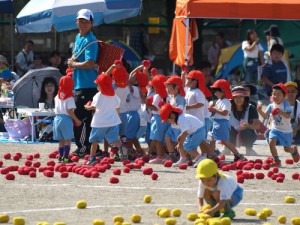 年少　追いかけ玉入れ (500x375)